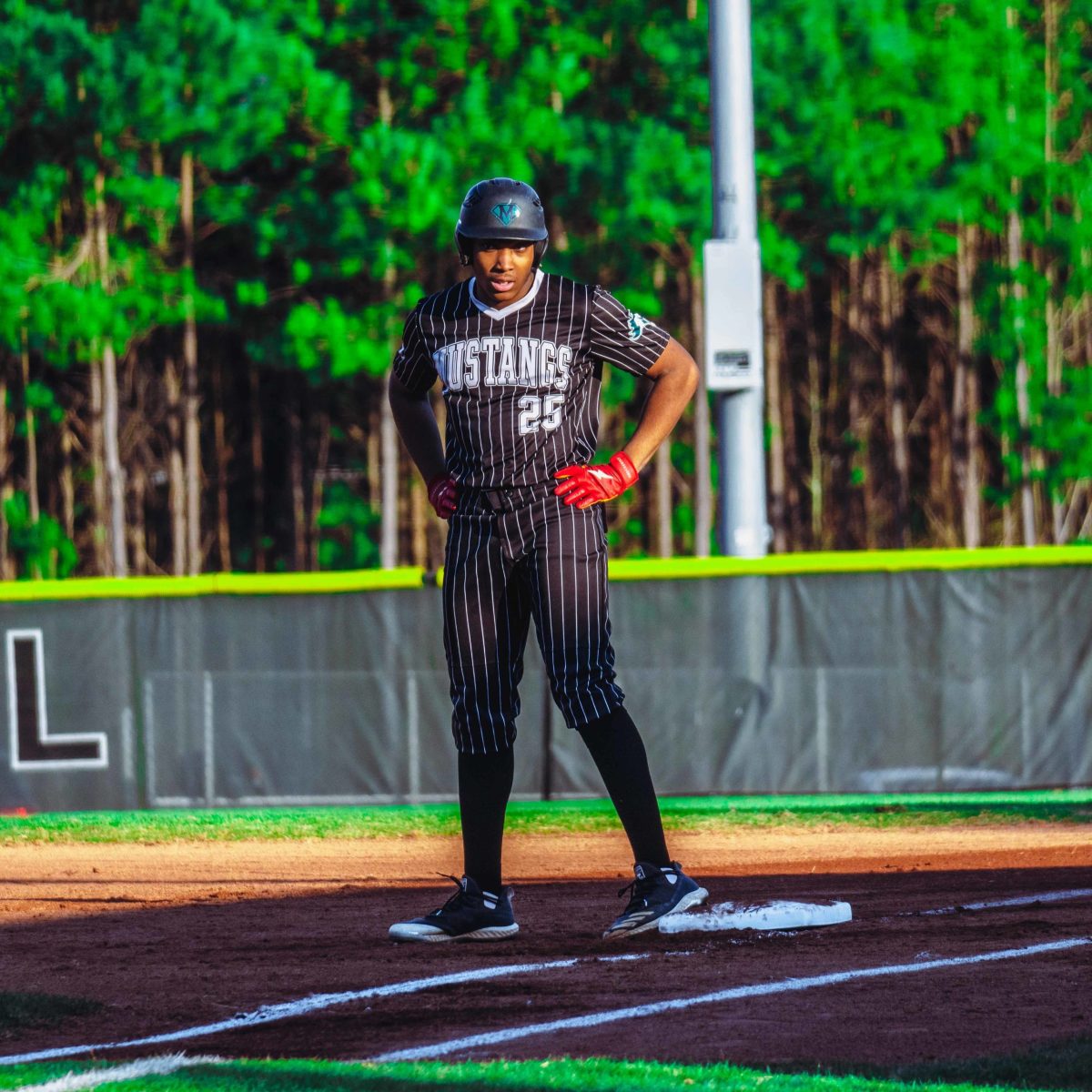 Willie_Prince_Kennesaw_Mountain_baseball.21